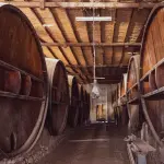 Regione Lazio, al via il bando Investimenti vino 2026/2027: contributi fino al 40% per cantine e imprese del settore