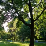 Parco Santa Rita, a Latina parte la riqualificazione: nuovi spazi per sport, famiglie e cani