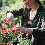 ARSIAL Cerveteri, pubblicata la graduatoria provvisoria per due orticoltori stagionali